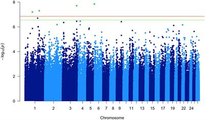A high-density genome-wide approach reveals novel genetic markers linked to small ruminant lentivirus susceptibility in sheep
